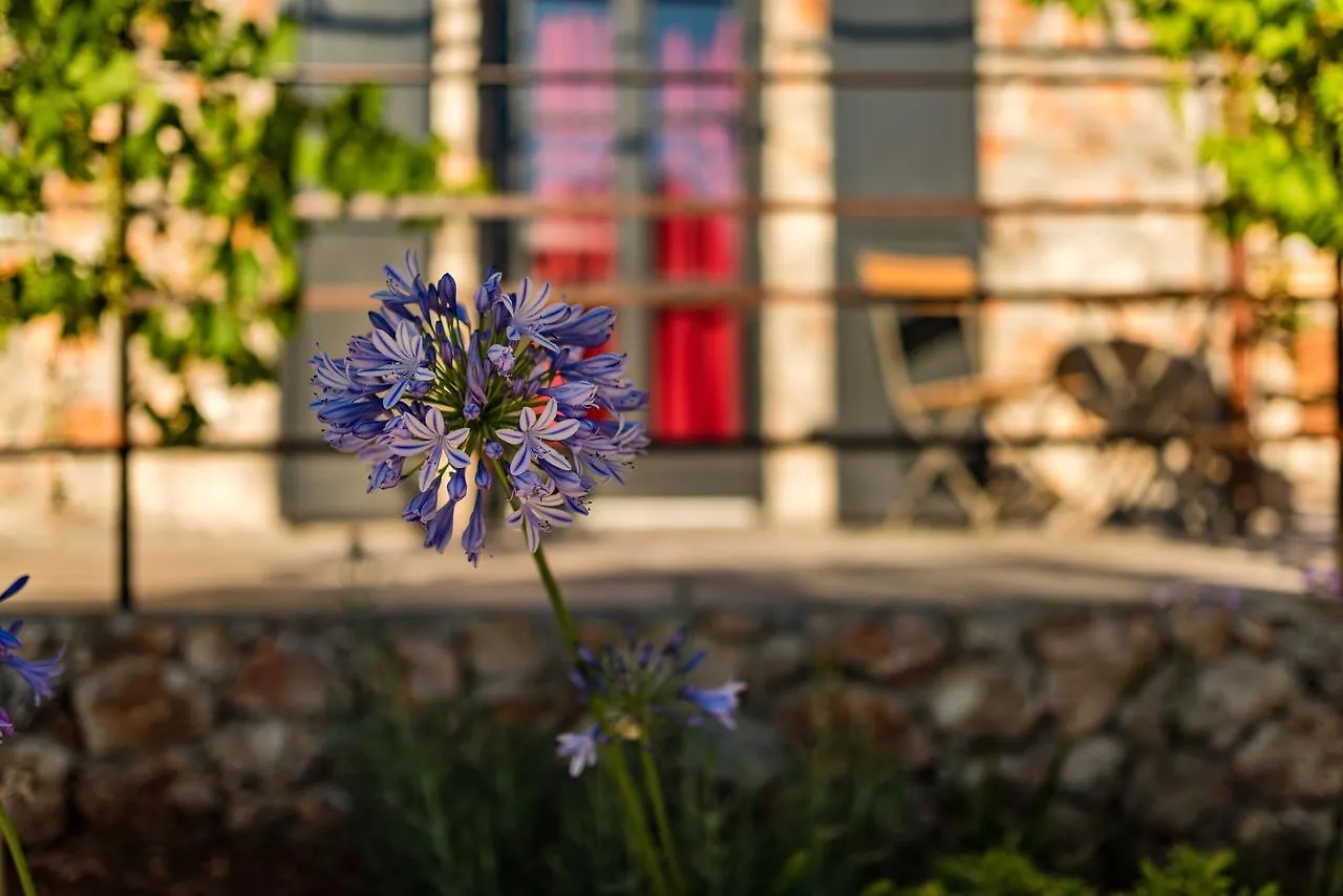 North Point Rooms Antipata  Bed & Breakfast Antipata (Erisos)