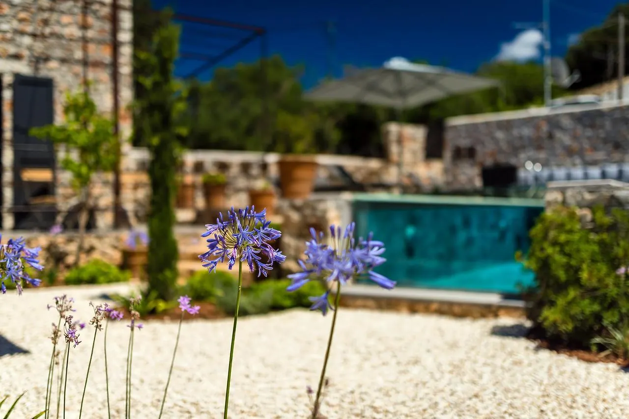 Bed & Breakfast North Point Rooms Antipata