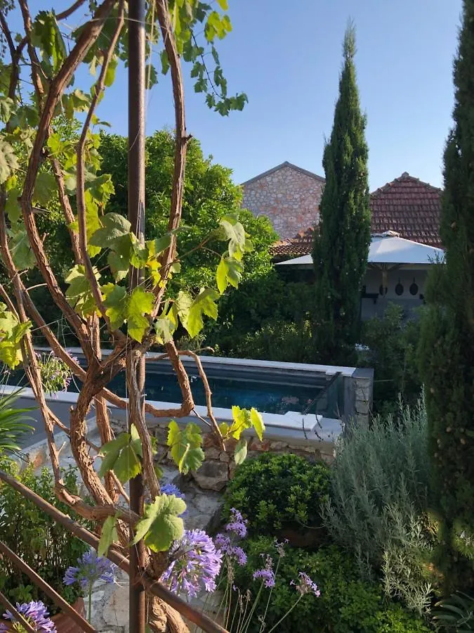 ** Bed & Breakfast North Point Rooms Antipata  Greece